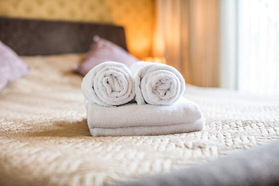 Hotel le Provencal - photo 5