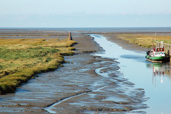 Hotel Waddengenot - photo 8