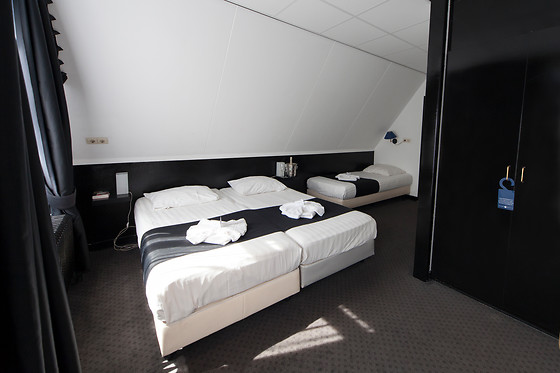 Fletcher Hotel-Landgoed Huis Te Eerbeek (HOTEL) - photo 1