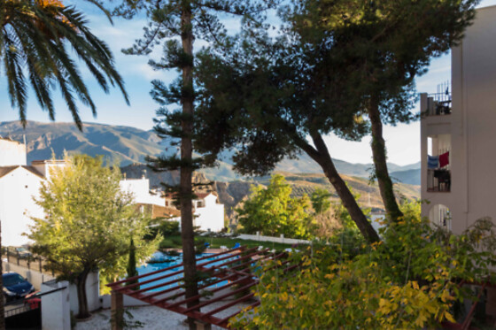 HOTEL ANDALUCIA DE LANJARON - photo 20