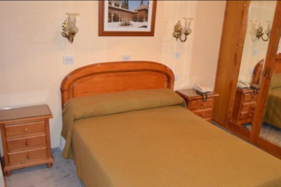 HOTEL ANDALUCIA DE LANJARON - photo 16