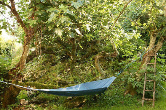 COOKING AND NATURE - THE NEST - photo 11
