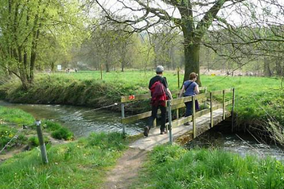 Baron's House - photo 4