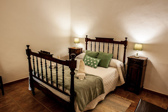ARTENATUR - photo 6