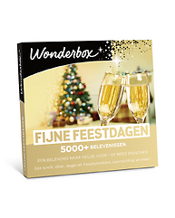 Fijne Feestdagen