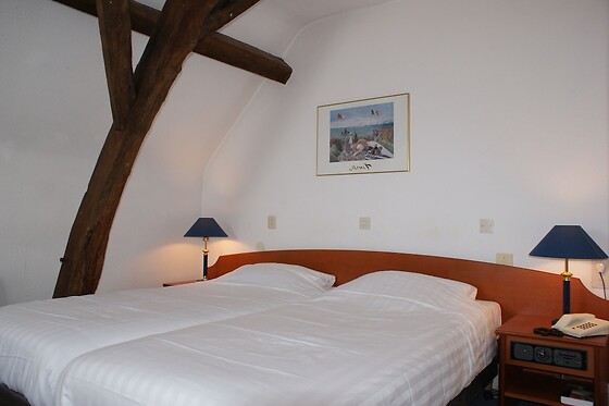 Fletcher Hotel-Restaurant La Ville Blanche (HOTEL) - photo 4