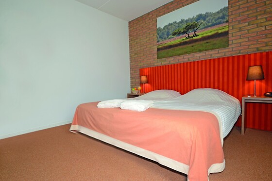 Fletcher Landhotel De Borken (HOTEL) - photo 6