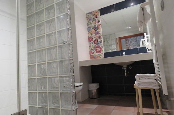 HOTEL SANTA ANNA - photo 11