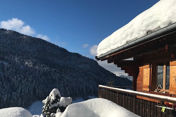 La marmotte qui papote - photo 0