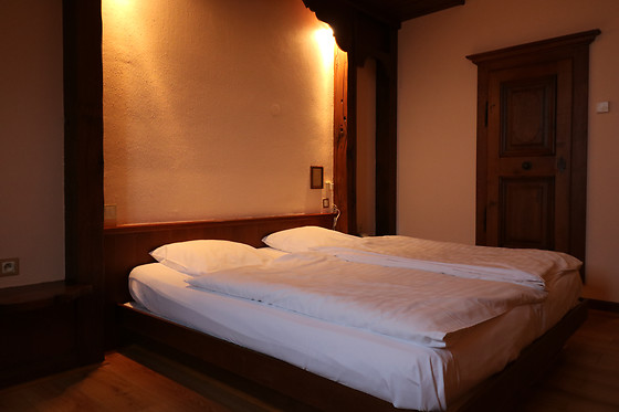 Hôtel Restaurant des Vosges - photo 12
