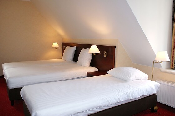 Fletcher Hotel-Restaurant De Dikke Van Dale (HOTEL) - photo 2