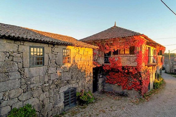 CASA CAMPO DAS BIZARRAS - photo 4