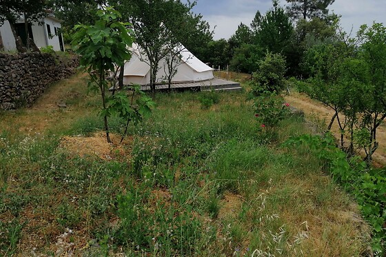 Les Jardins Célestes - photo 14
