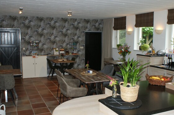 De Buitenhof - photo 4