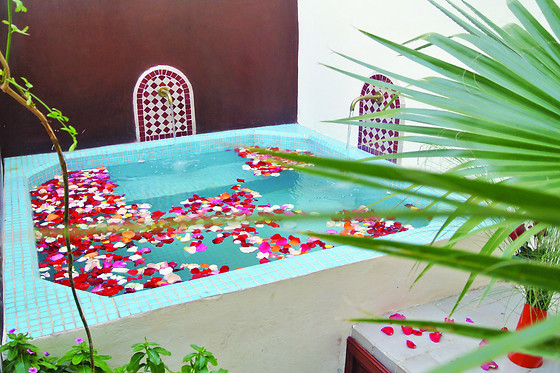 Samira Riads - photo 9
