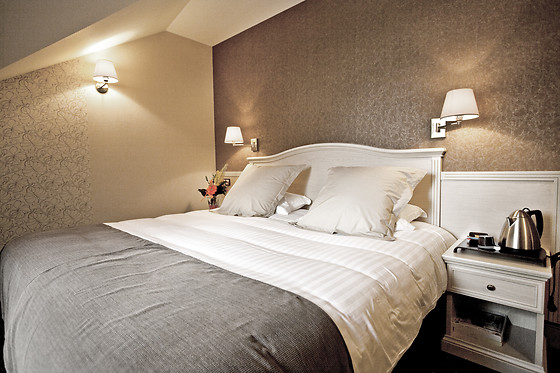 Best Western Le Duguesclin - photo 11