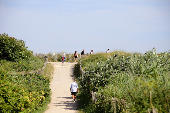 Corsendonk Duinse Polders - photo 11