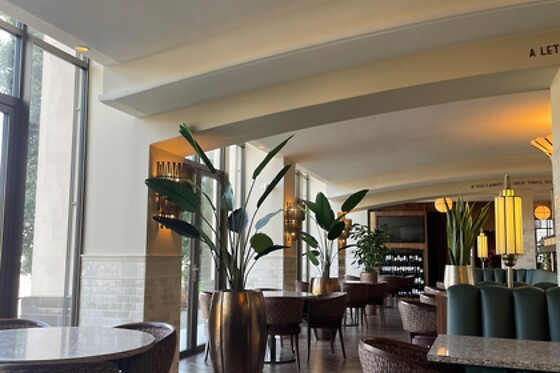 Nodi - photo 7