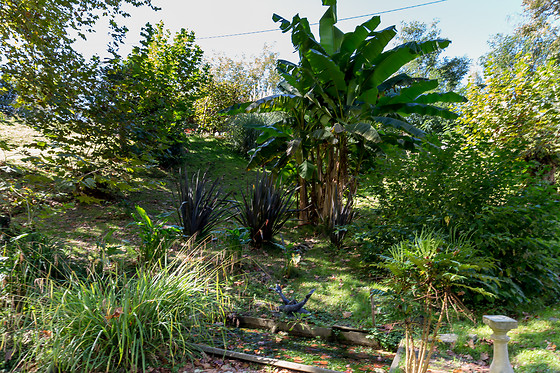Domaine Beau Séjour - photo 11