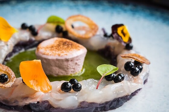 Villa Coucou - photo 6