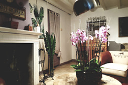 Le Moulin de Pommeuse