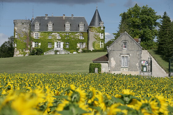 Château de la Côte - photo 13