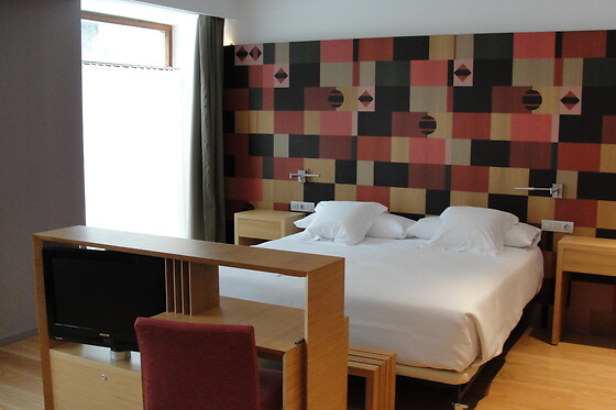 HOTEL RESORT BALNEARIO DE PANTICOSA - photo 26