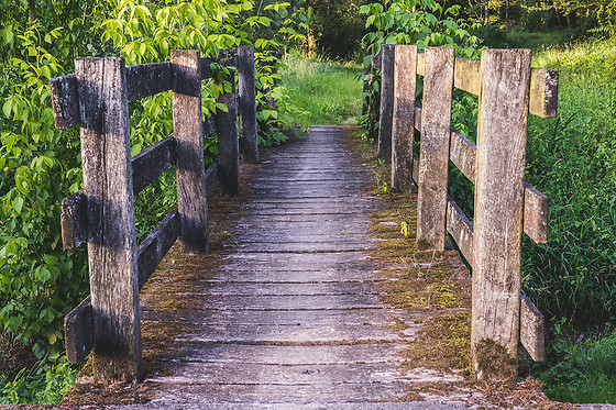 L'escale des châteaux de la loire - photo 8