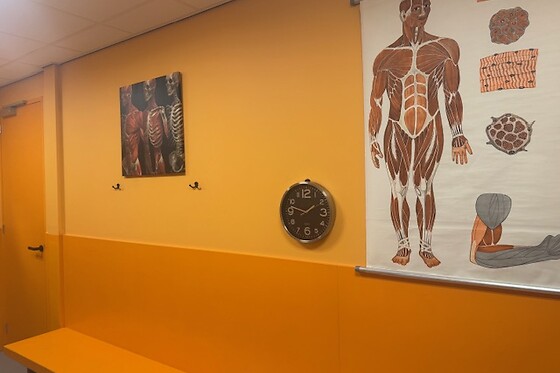 Body-Life Massages Schalkwijk - photo 2