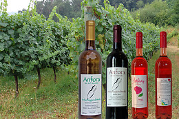 QUINTA DE SANTA MARINHA
