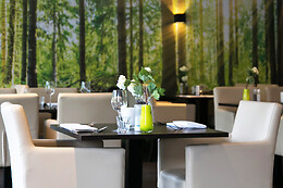 Fletcher Hotel-Restaurant De Eese-Giethoorn (HOTEL)