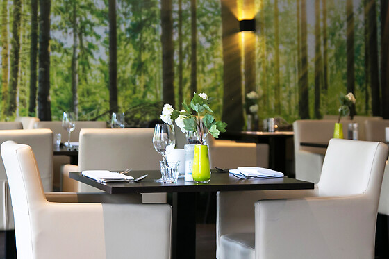Fletcher Hotel-Restaurant De Eese-Giethoorn (HOTEL) - photo 1