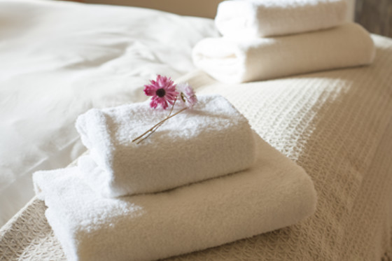 RETRATO DA MEMÓRIA - CASA DE CAMPO - photo 3