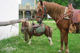 West Wood Ranch